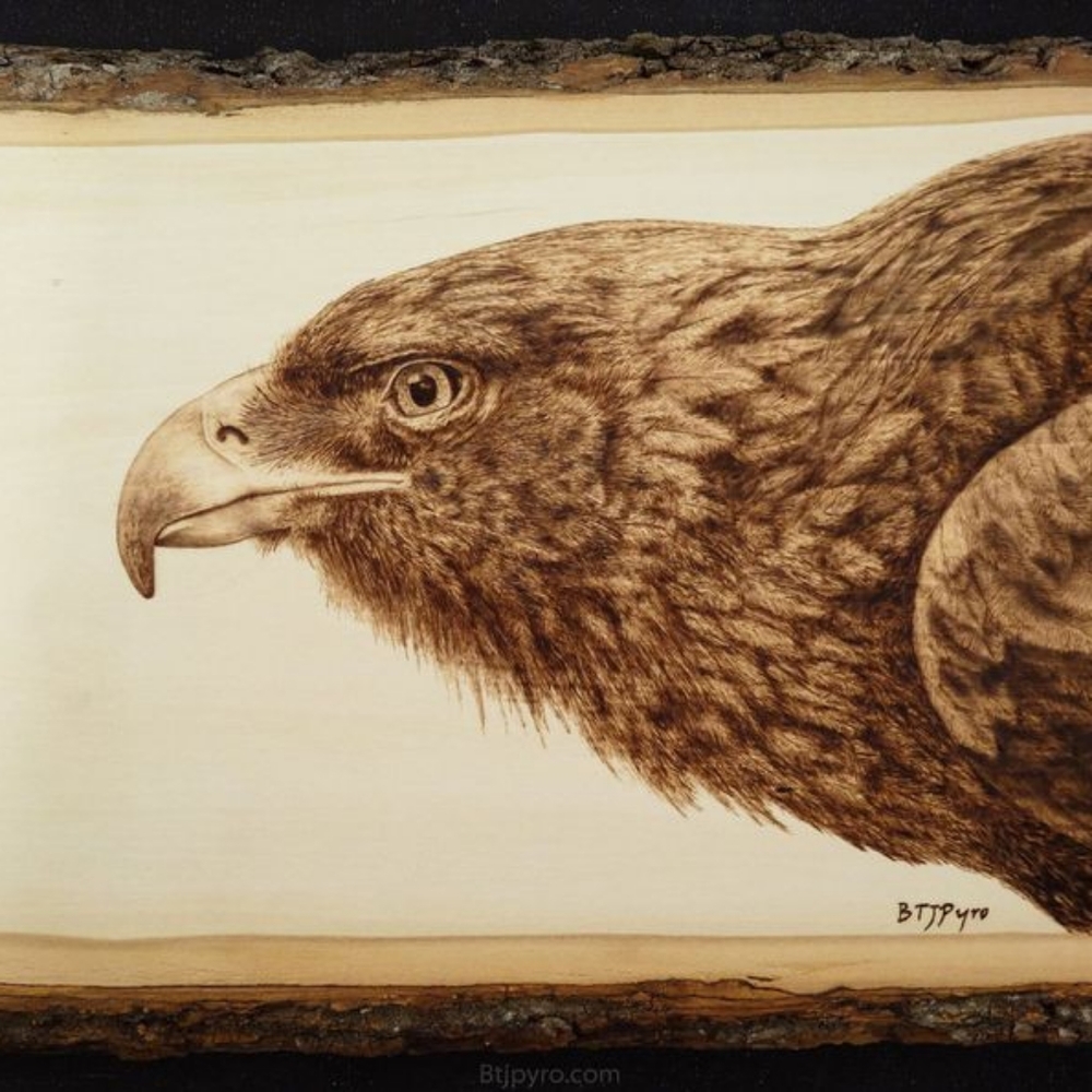 wood pyrography eagle - Picture 3 of 4